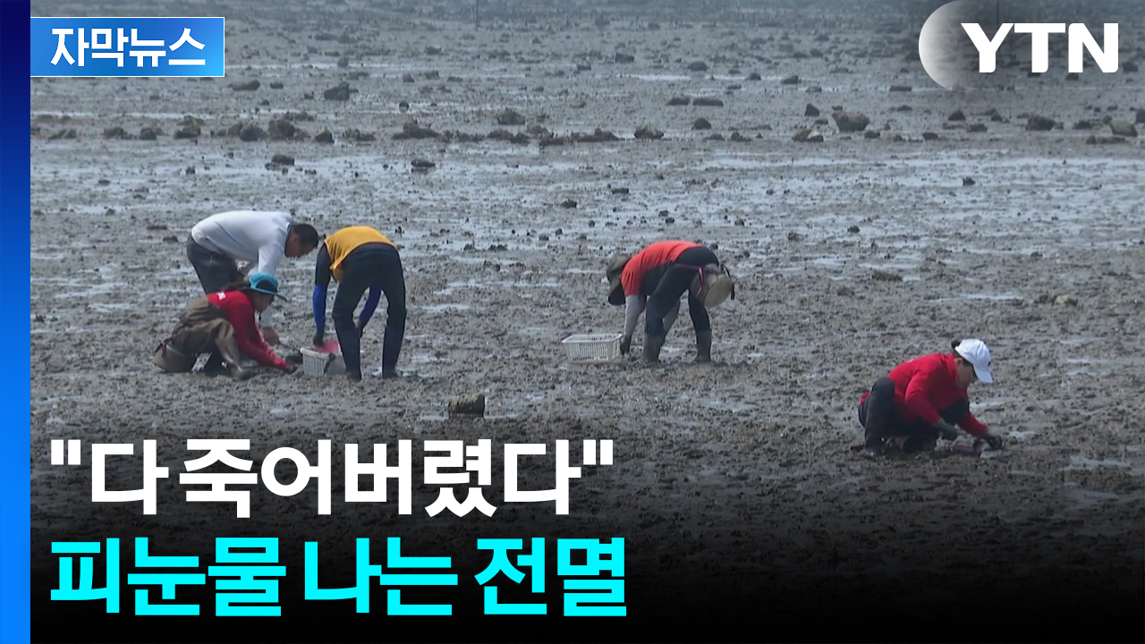 [자막뉴스] 한국인들 즐겨먹는데 줄폐사...위기감 커지자 결국