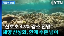 전 세계 해양 비극..."생태계 붕괴, 한계 넘었다" [지금이뉴스]