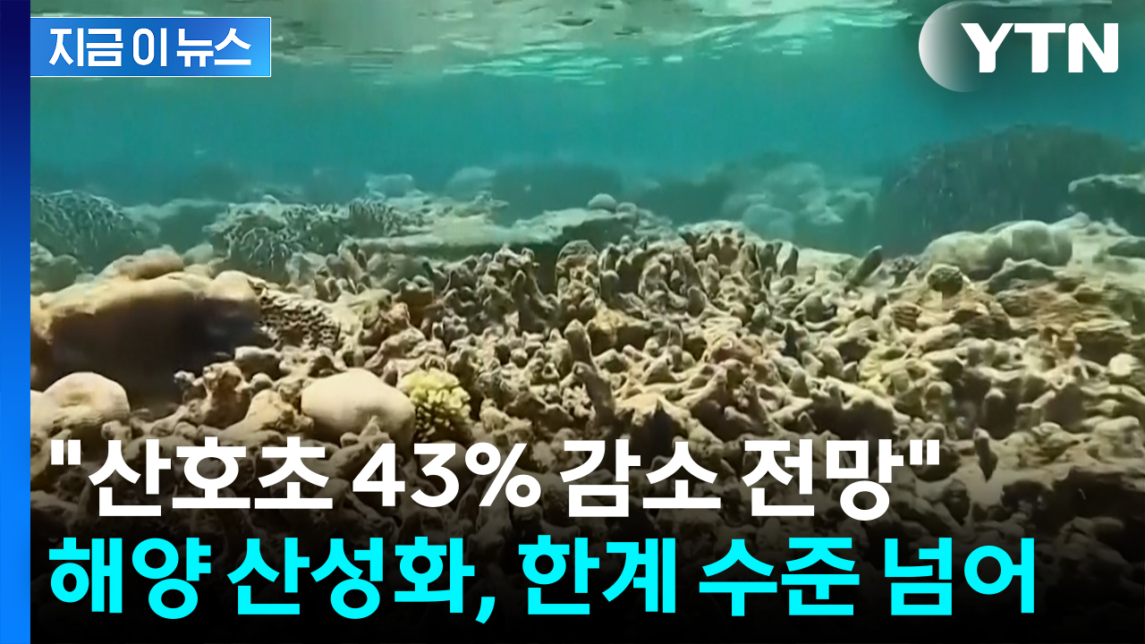 전 세계 해양 비극..."생태계 붕괴, 한계 넘었다" [지금이뉴스]