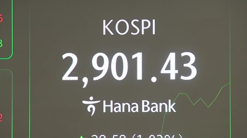 6일째 \'파죽지세\' 코스피…3년 5개월 만에 2,900 돌파