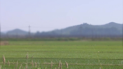 "정말 오랫만에 푹 자"…이 시각 강화군