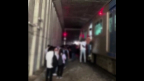 [속보] 경의중앙선 일부 구간 운행 중단…"사다리차 전도"