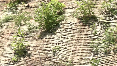 산불 피해지 곳곳 60~80㎜ 호우…"산사태 우려"