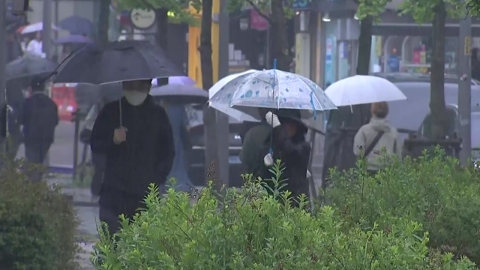 [날씨] 제주 닷새째 장마권 300mm↑…주 후반 중부도 장마?