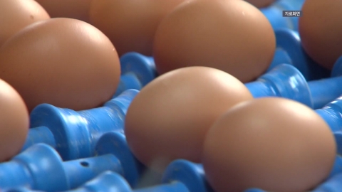 공정위, '달걀값 상승' 관련 산란계협회 현장조사