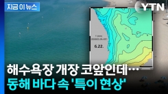 해수욕장 개장 코앞인데...동해 \'이 현상\'에 상인들 또 불안 [지금이뉴스]