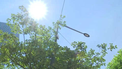 [날씨] 서·남해안 짙은 아침 안개…어제보다 더워, 서울 낮 31℃