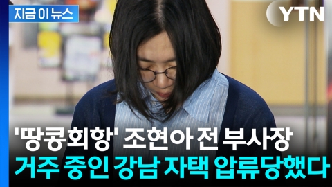 세금 얼마나 체납했기에...'땅콩회항' 조현아, 자택 압류에 강제 경매까지 [지금이뉴스]