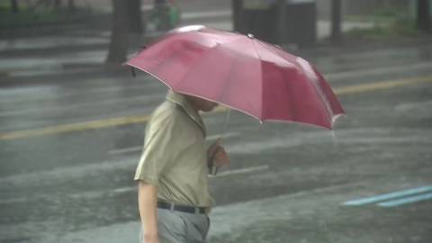  강한 호우로 동부간선도로 성수∼창동교 방향 통제