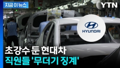 300명 넘는 직원 대규모 징계는 이례적...현대차 \'초강수\' [지금이뉴스]