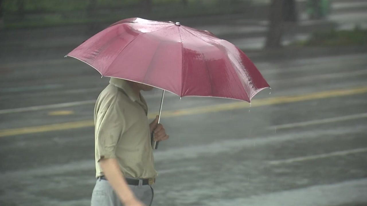 수도권 곳곳 '호우특보'...서울 하천 29곳 모두 통제