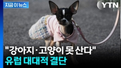 반려동물에 진심인 EU...\'펫숍\'에 초강수 [지금이뉴스] 