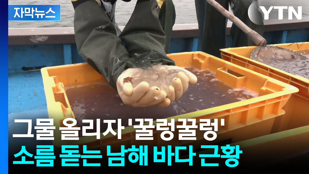 [자막뉴스] "이런 상황은 처음"...대량 발생에 피눈물