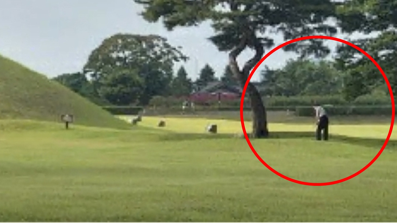 "한국선 저래도 돼?"...경주 왕릉서 골프 친 남성에 외국인 '깜짝'
