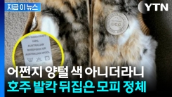 \'호주산 양모\'라던 아이 조끼가...소재 진실에 \'아연실색\' [지금이뉴스]
