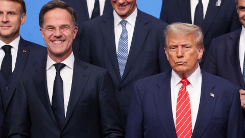 "트럼프 아빠" 나토 사무총장..."선넘은 아첨" 비판