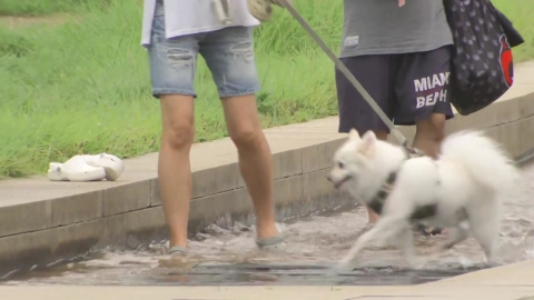 [날씨] 밀양 36.9℃, 사람 체온보다 높았다…장맛비에 찜통더위
