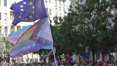 헝가리에서 수십만 명 성소수자 행진...정부 금지 조치에 반발