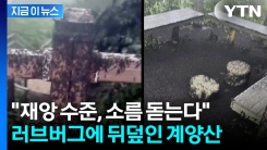 "러브버그가 산을 점령했다"...믿기 힘든 영상에 누리꾼들도 \'경악\' [지금이뉴스]