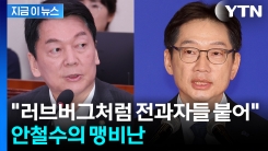 \'러브버그\' 소환한 안철수...김경수 복귀 두고 맹폭 [지금이뉴스]
