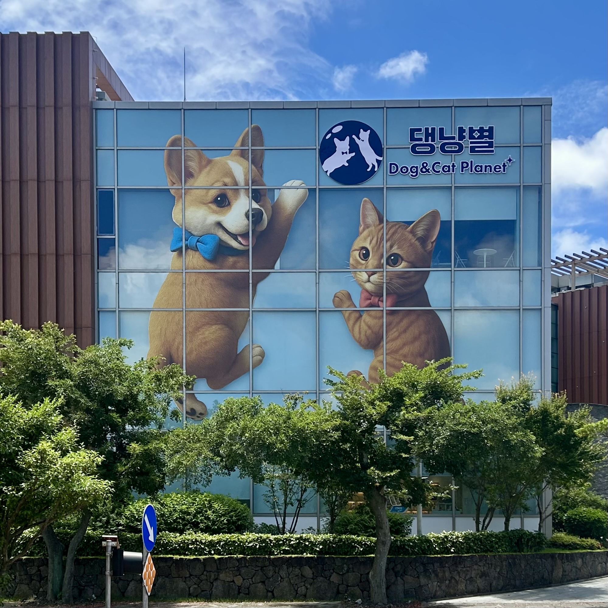 개·고양이 구조 테마파크 ‘댕냥별’, 제주 신화월드에 오픈