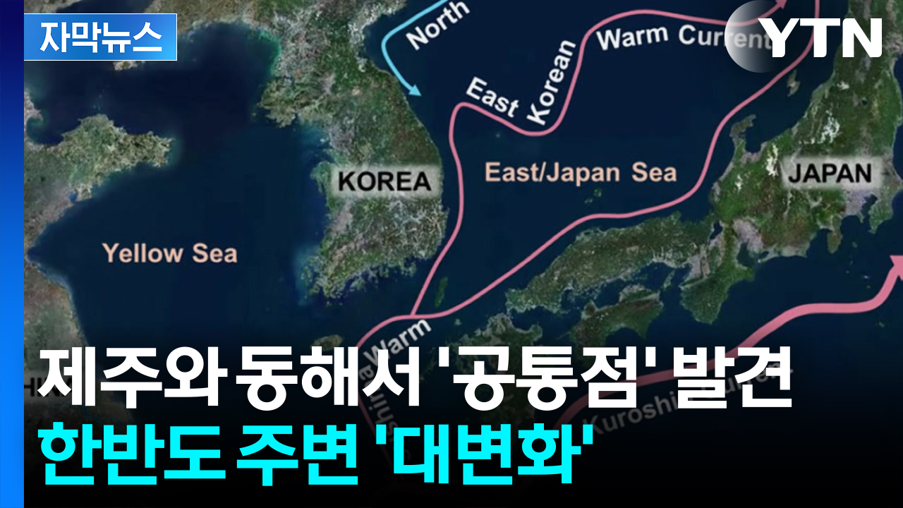 [자막뉴스] "개체 수 급감할 수도"...기록적 현상에 생존 몸부림