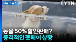 오늘이 마지막이니 \'더 할인\'... 충격적인 펫페어 상황 [지금이뉴스]