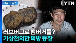 새도 안먹는다는데... 기상천외한 \'러브버그 먹방 등장\' [지금이뉴스]