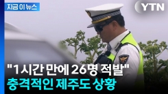 작년 대비 \'18배 이상 증가\'... 충격적인 제주도 상황 [지금이뉴스]
