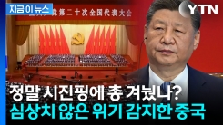 전 세계에 퍼지는 \'권력이상설\'에...중국이 공개한 시진핑 근황 [지금이뉴스]
