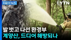 “계양산, 드디어 해방?”...환경부, 러브버그 방제 투입 [지금이뉴스]