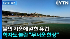 심각한 대격변 경고...지중해 바다 "전무후무한 현상" [지금이뉴스] 