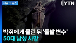 "치료법 없다"...몇 개월 전 박쥐에게 물렸다가 사망 [지금이뉴스] 