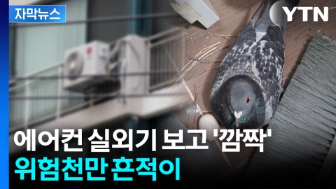 [자막뉴스] 실외기 부식될 수도...불청객에 퇴치업체까지 성행
