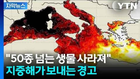 [자막뉴스] "무섭다는 말로도 부족"...사상 최고치 경신한 지중해 수온