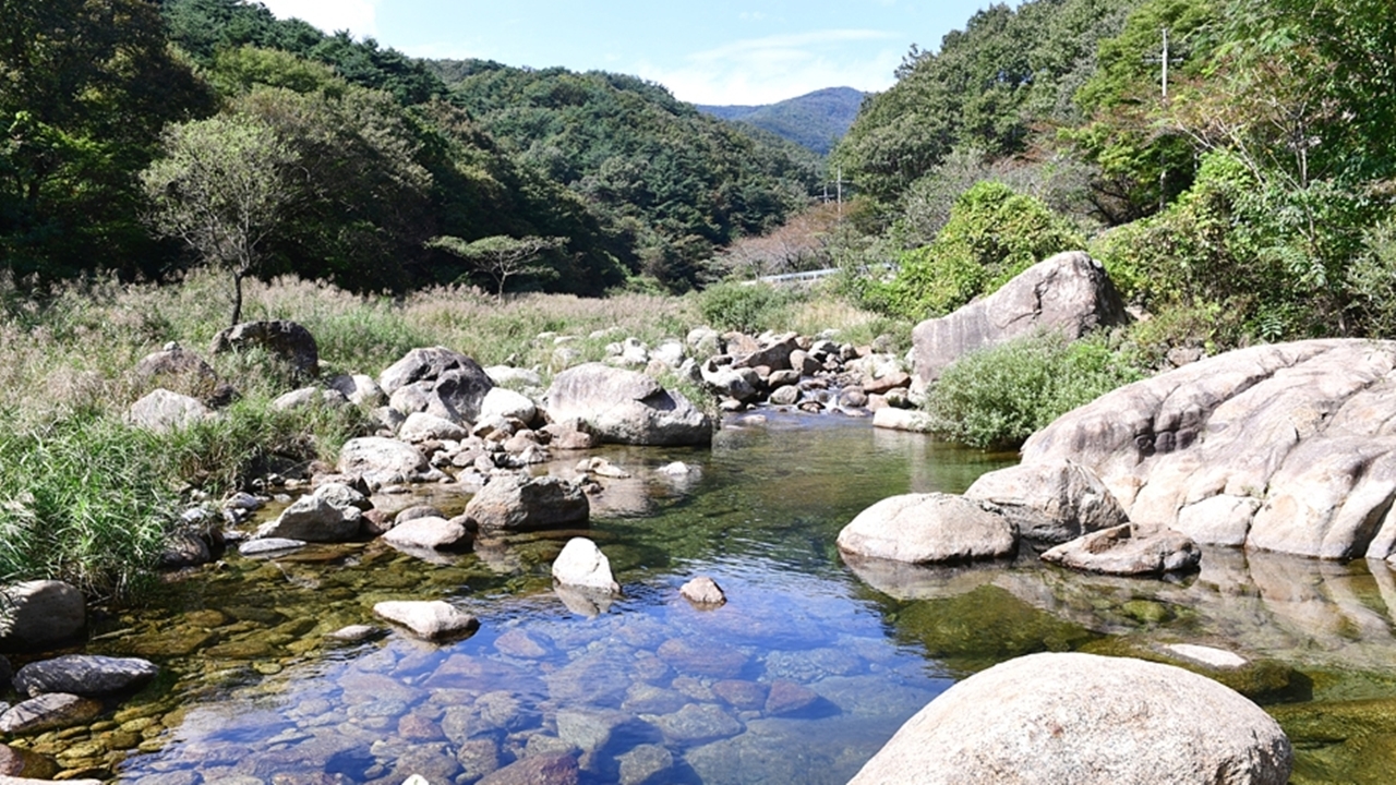 광양 계곡서 다이빙한 20대, 돌에 머리 부딪혀...하반신 마비 이송