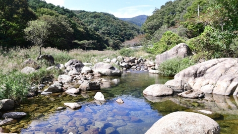 광양 계곡서 다이빙한 20대, 돌에 머리 부딪혀…하반신 마비 이송