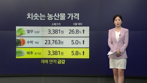 장바구니·펄펄 끓는 바다·배터리주의보…폭염이 불러온 것들 [앵커리포트]