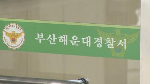 "손에 피 묻힌 채 귀가한 아내" 남편의 신고…친모 살해 혐의로 체포