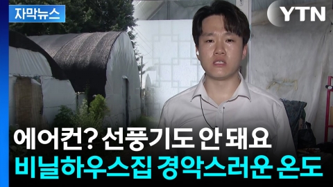 [자막뉴스] "열사병 걸려 죽으라는 것"...과천 꿀벌마을 상황