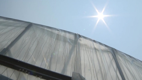 서울 37.8℃ '118년 만의 폭염'...광명·파주 40℃ 돌파