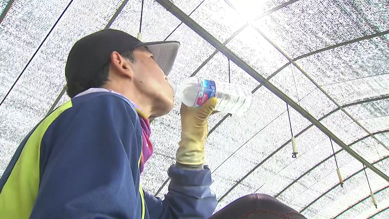 [날씨] 파주 광탄면 37.6℃...서쪽 '펄펄', 곳곳 36℃↑