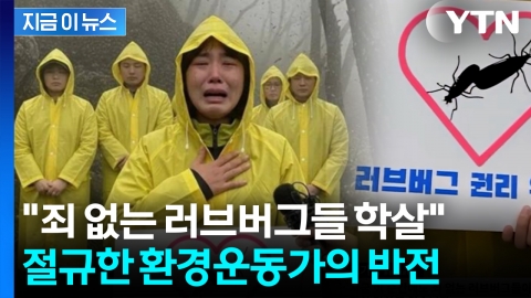 "러브버그 학살 멈추고 공존"...울부짖던 운동가 논란, 알고 보니 [지금이뉴스]