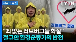 "러브버그 학살 멈추고 공존"...울부짖던 운동가 논란, 알고 보니 [지금이뉴스]