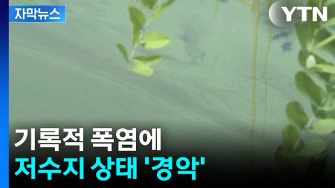 [자막뉴스] 기록적 더위에 녹조로 뒤덮여...주민들 '불안'