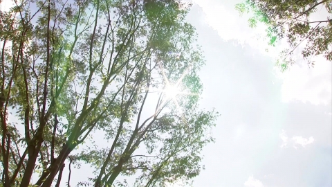 어제 하루 온열질환 76명 응급실행...지난해의 2.9배 ↑