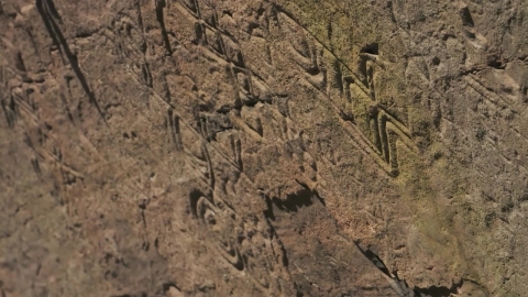 울산 '반구천의 암각화', 유네스코 세계유산 등재