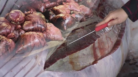 고래 뼈 폐기물 무단 투기 \'발칵\'…불법 포획 의혹까지
