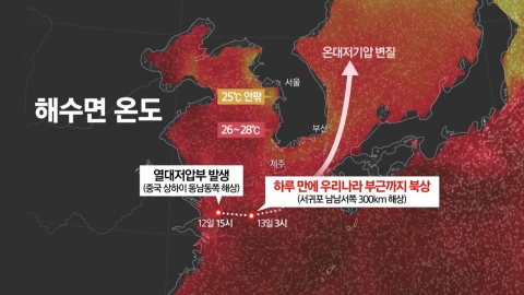 뜨거운 해상서 하루 만에 북상…시간당 84mm 쏟은 열대저기압