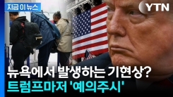 미국 전역에 충격 준 현재 뉴욕 상황...트럼프도 우려하는 이유 [지금이뉴스]